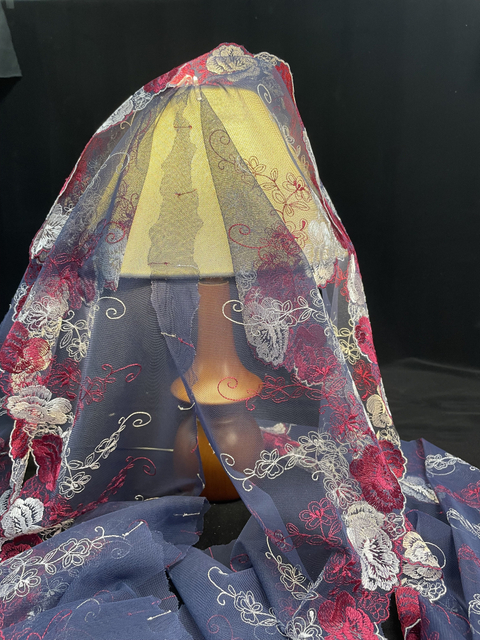 China Supply Fashion New Design Lace