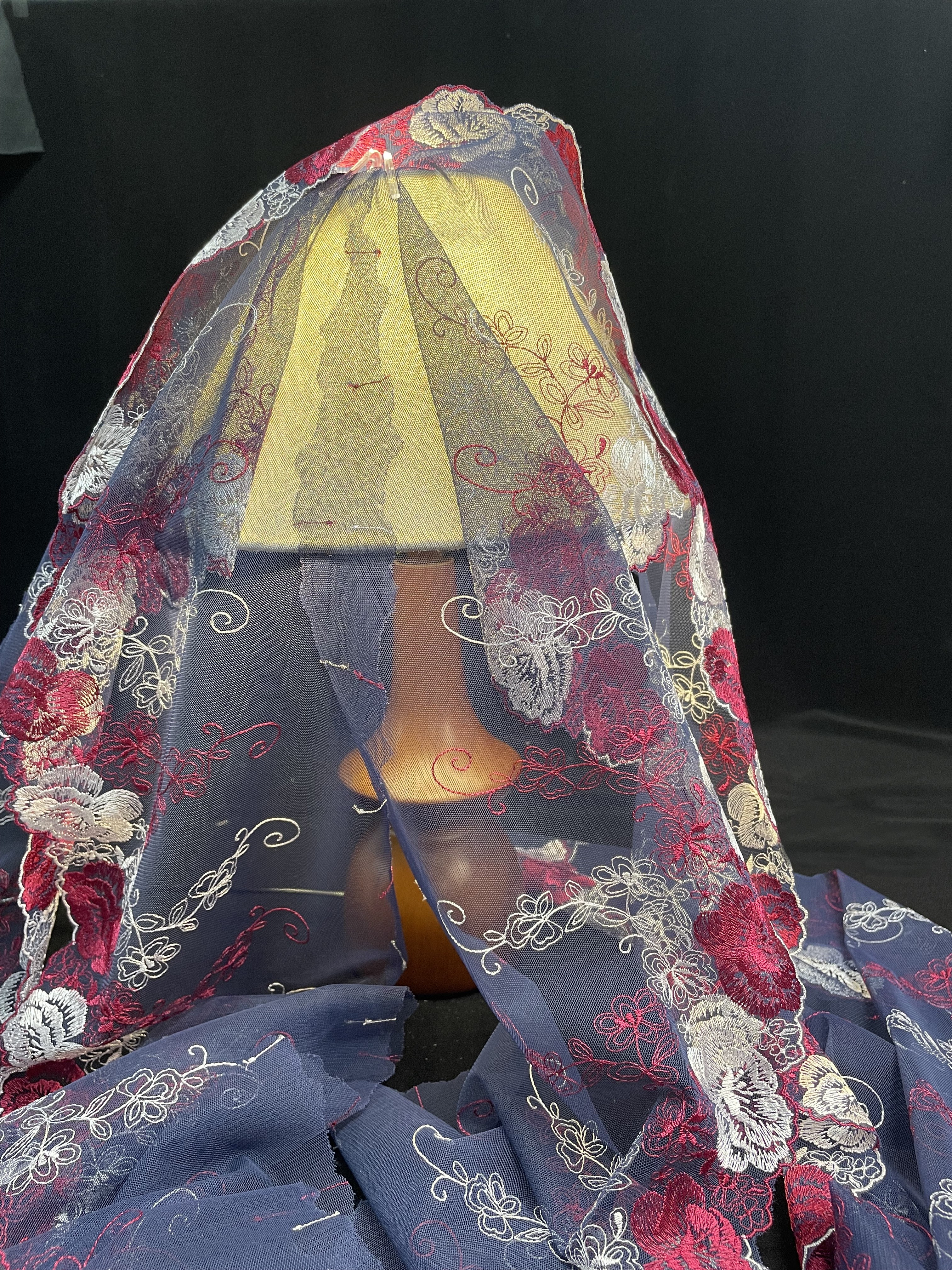 China Supply Fashion New Design Lace