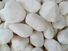  Hot Sell Garden Best Natural White Pebble Stone for Sell White Marble Gravel Pebbles Size 0.3-05/ 04-06/0.6-0.9/9-12/12-15/15-20/20-30/30-50/50-80