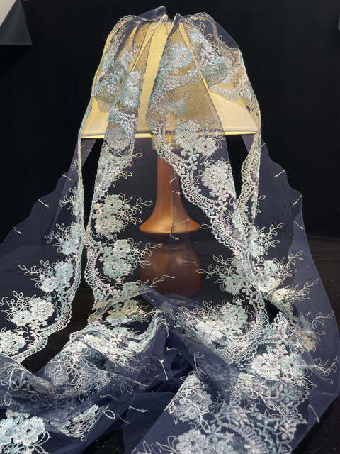 China Supply Best Price New Design Lace